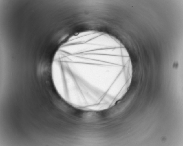 X0000103130137200809191950