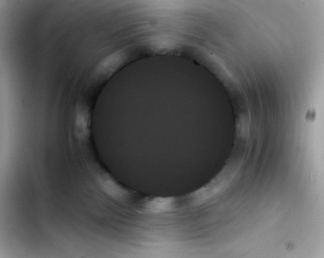 X0000103130138200809191950
