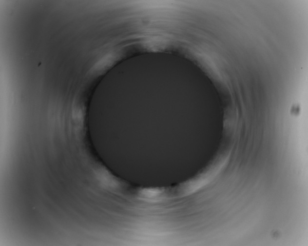 X0000103130139200809191950