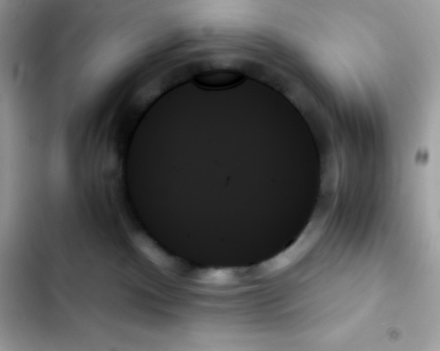 X0000103130140200809191950