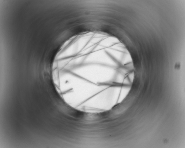 X0000103130141200809191950