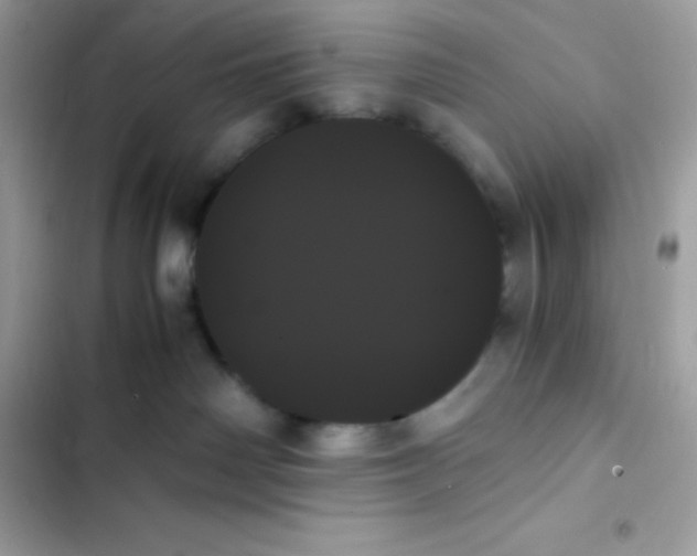 X0000103130142200809191950