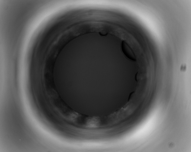 X0000103130143200809191950