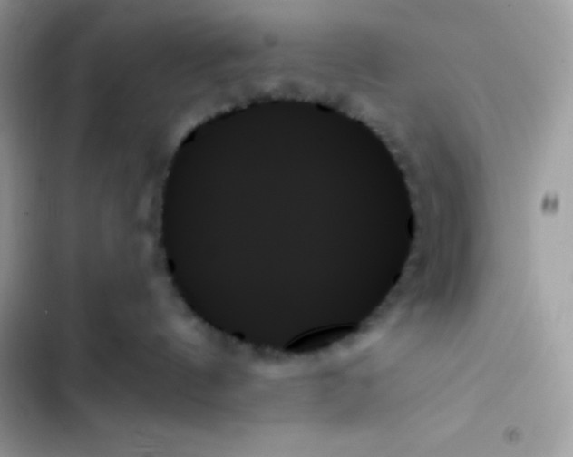 X0000103130144200809191950