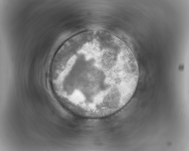 X0000103130145200809191949