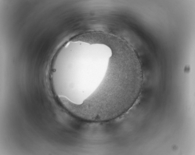 X0000103130146200809191949
