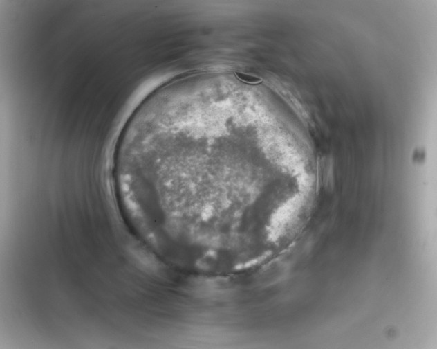 X0000103130147200809191949
