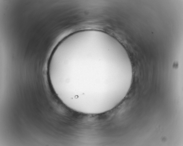 X0000103130148200809191949