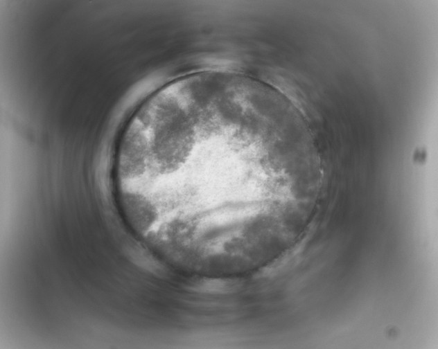 X0000103130149200809191949