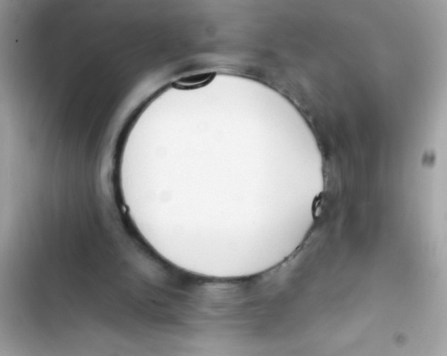 X0000103130150200809191949