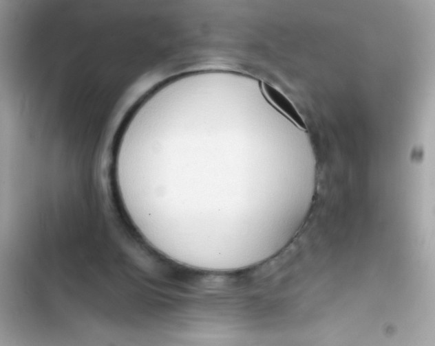 X0000103130152200809191949