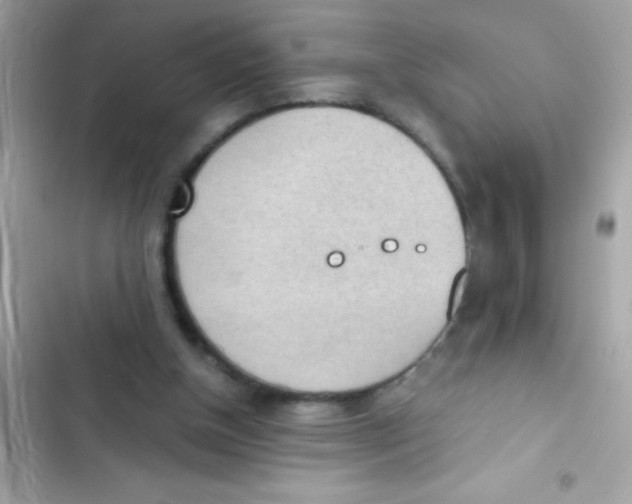 X0000103130154200809191949