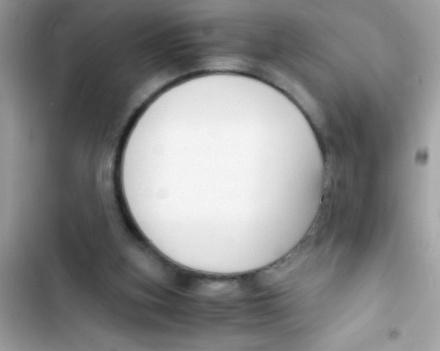 X0000103130155200809191949