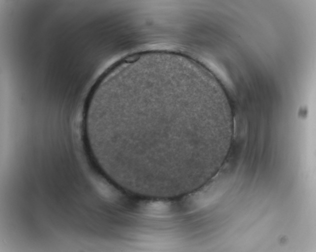 X0000103130156200809191949