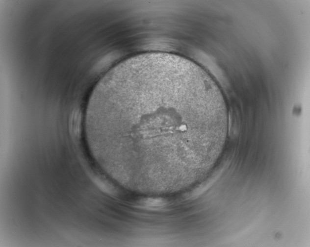X0000103130157200809191949