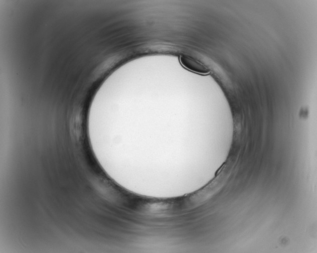 X0000103130158200809191949