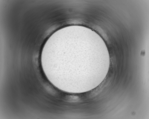 X0000103130159200809191949
