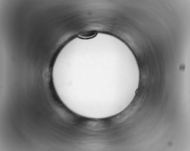 X0000103130160200809191949