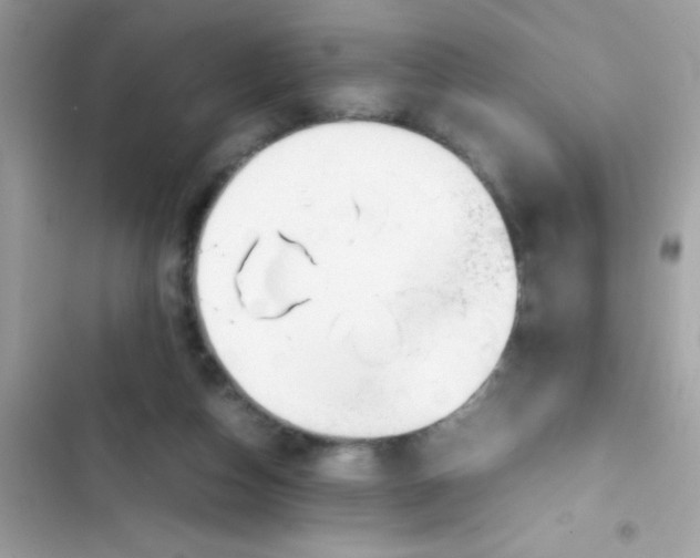 X0000103130162200809191949