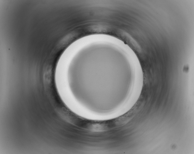 X0000103130163200809191949