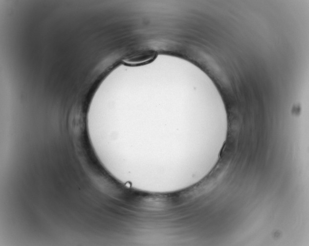 X0000103130164200809191949