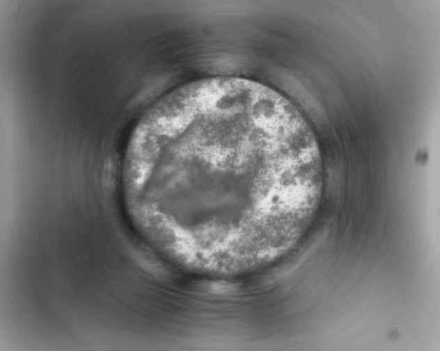 X0000103130165200809191949