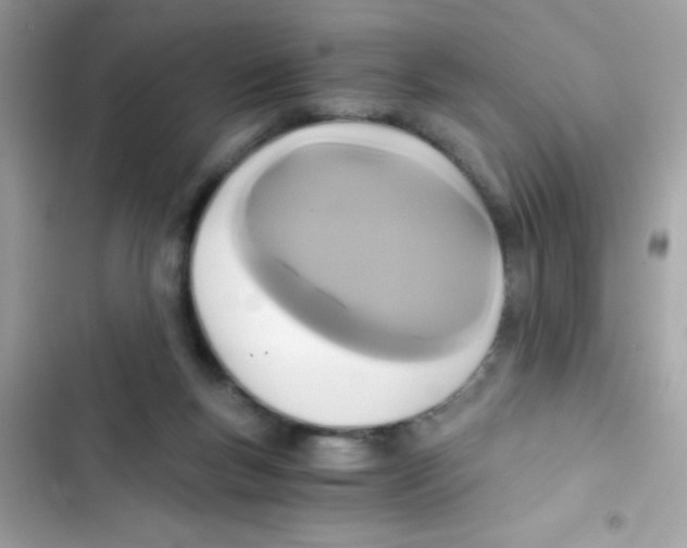 X0000103130167200809191949