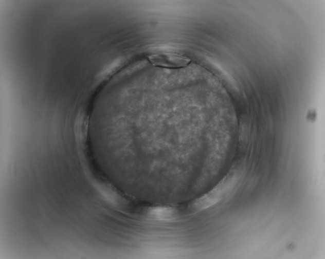 X0000103130168200809191949