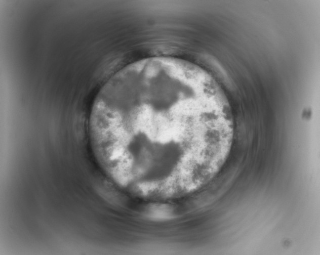 X0000103130169200809191949