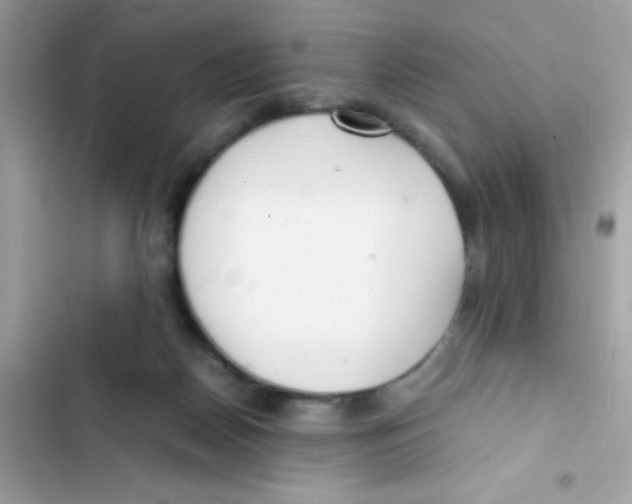X0000103130170200809191949