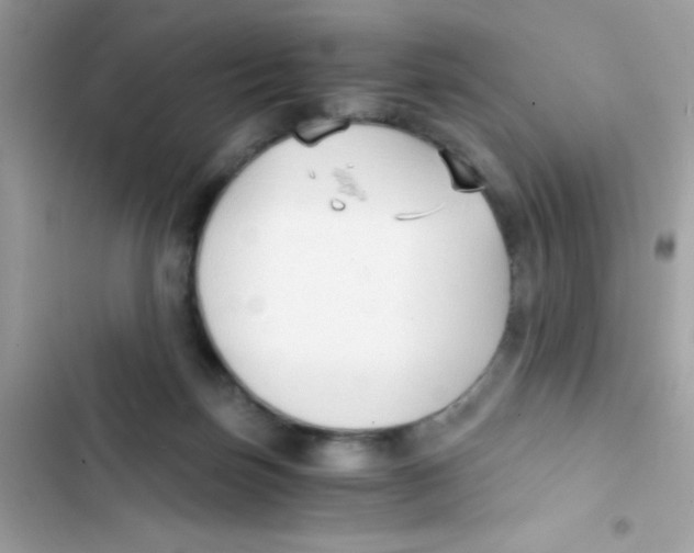 X0000103130171200809191949
