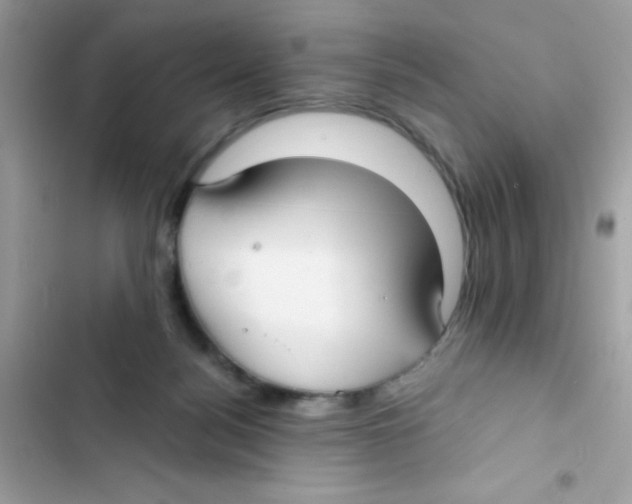 X0000103130172200809191949
