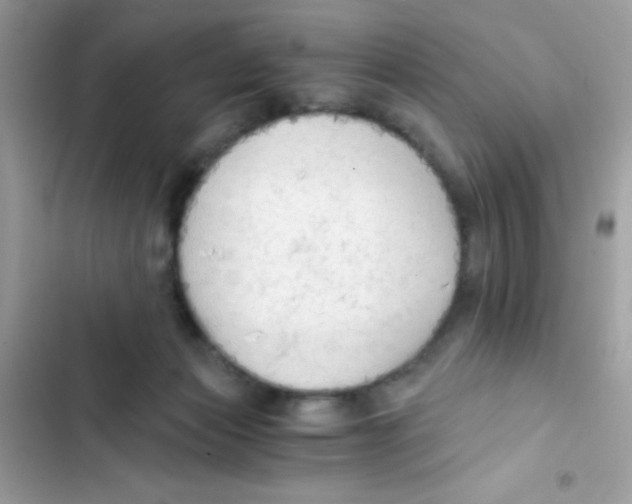X0000103130173200809191949