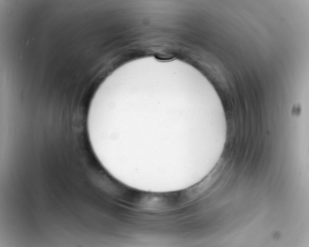 X0000103130174200809191949