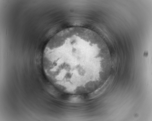 X0000103130175200809191949