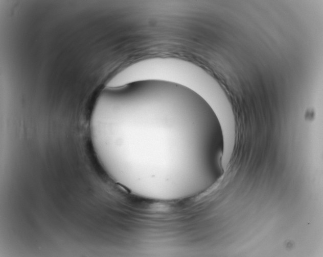 X0000103130176200809191950