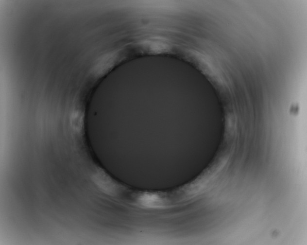 X0000103130177200809191950