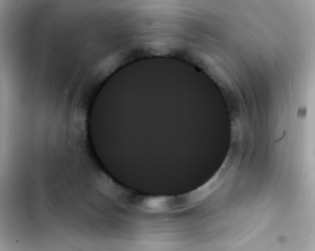 X0000103130178200809191950