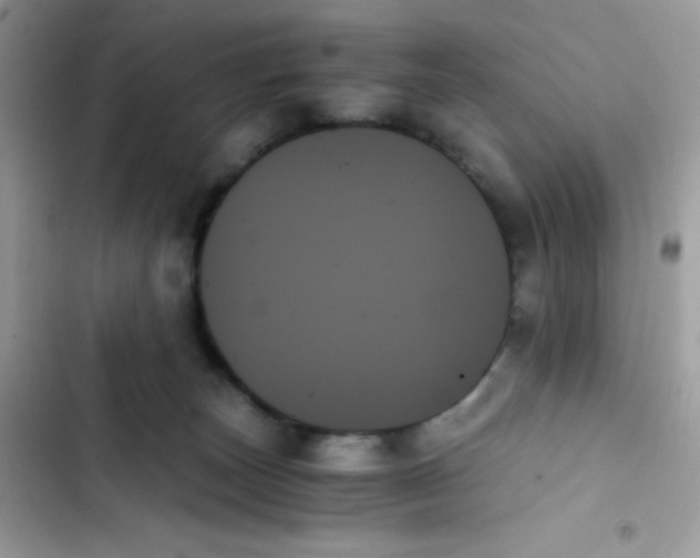 X0000103130179200809191950