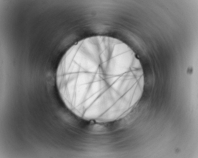 X0000103130180200809191950