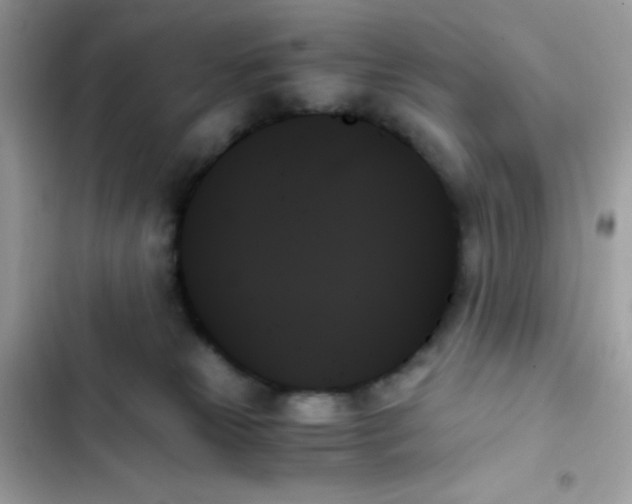 X0000103130181200809191950