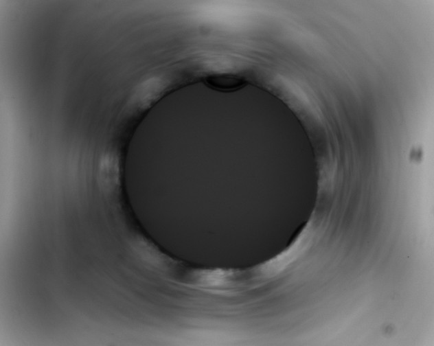 X0000103130182200809191950