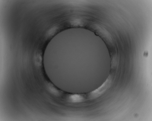 X0000103130183200809191950
