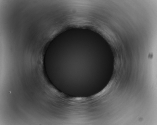 X0000103130184200809191950