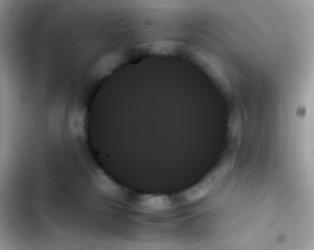 X0000103130185200809191950