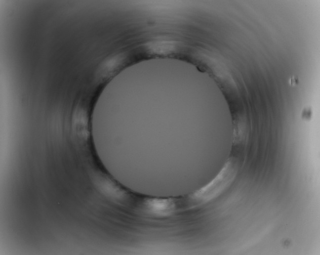 X0000103130187200809191950