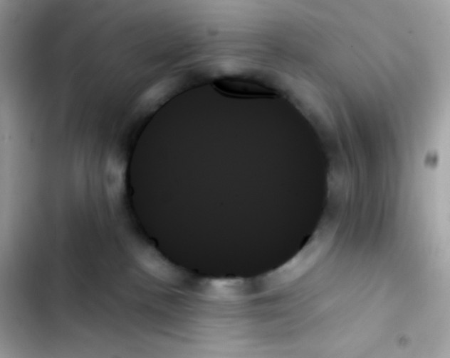 X0000103130188200809191950