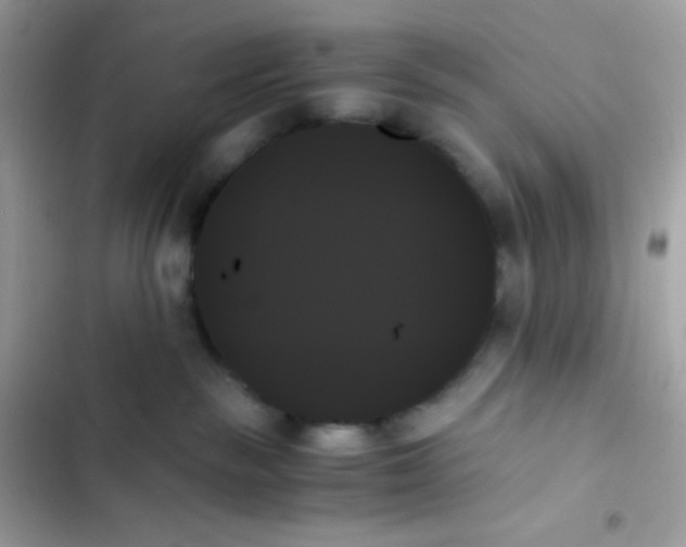 X0000103130189200809191950