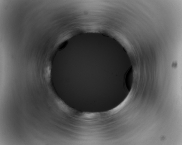 X0000103130190200809191950