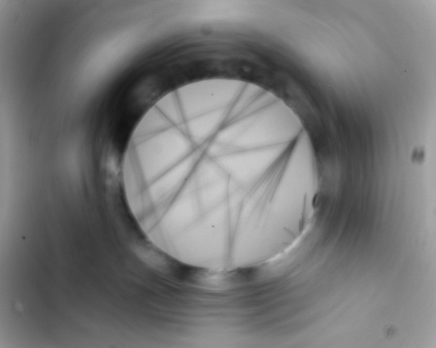 X0000103130191200809191950